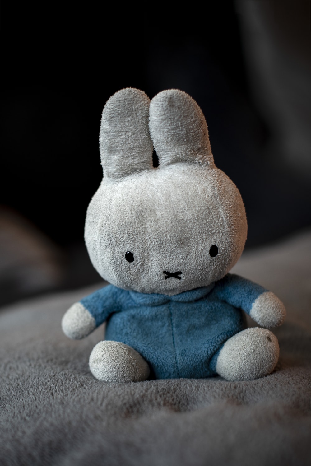 Blue Bunny Wallpapers