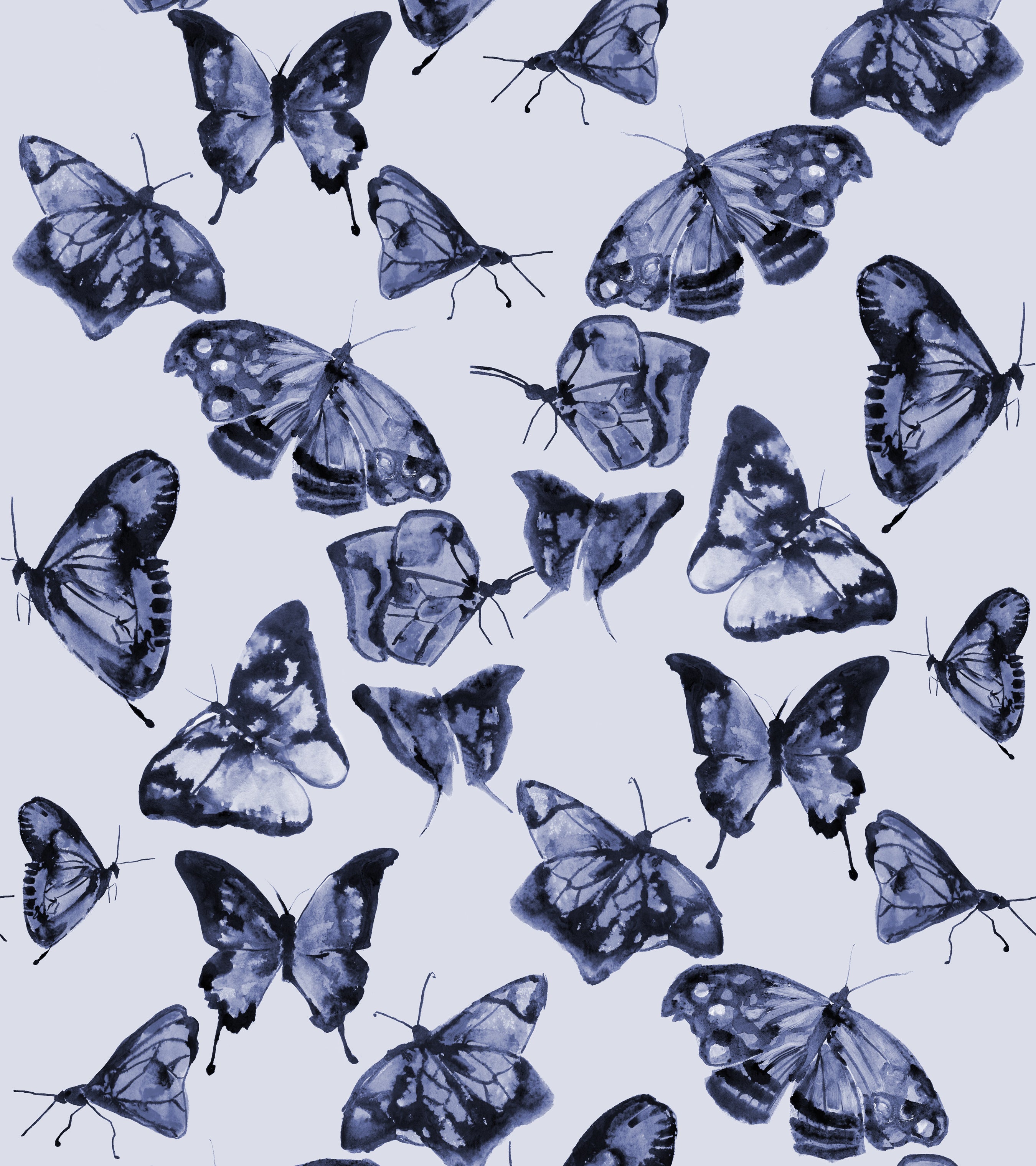 Blue Butterflies Aesthetic Wallpapers