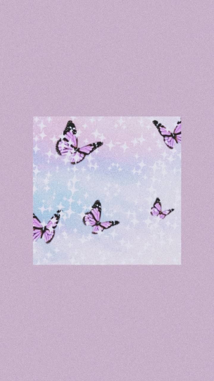 Blue Butterflies Aesthetic Wallpapers