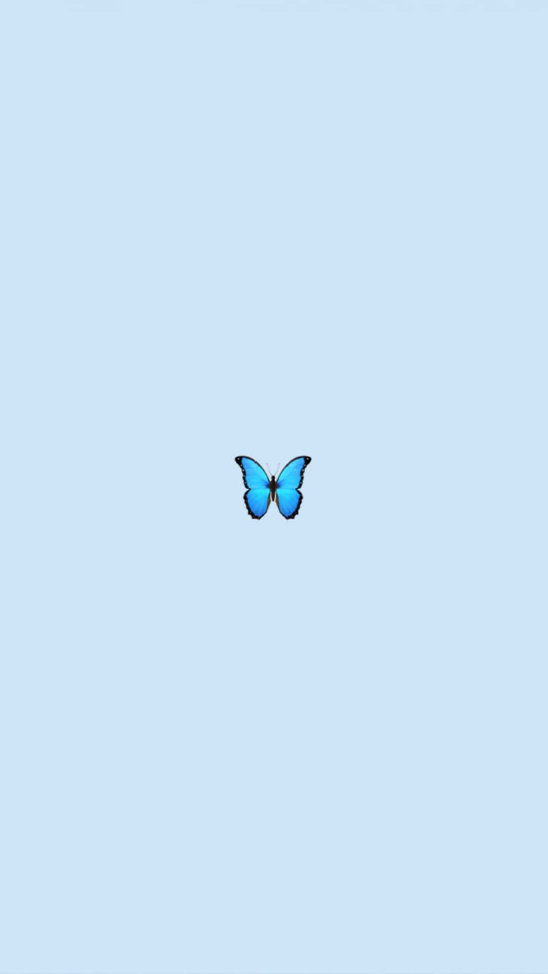 Blue Butterflies Aesthetic Wallpapers