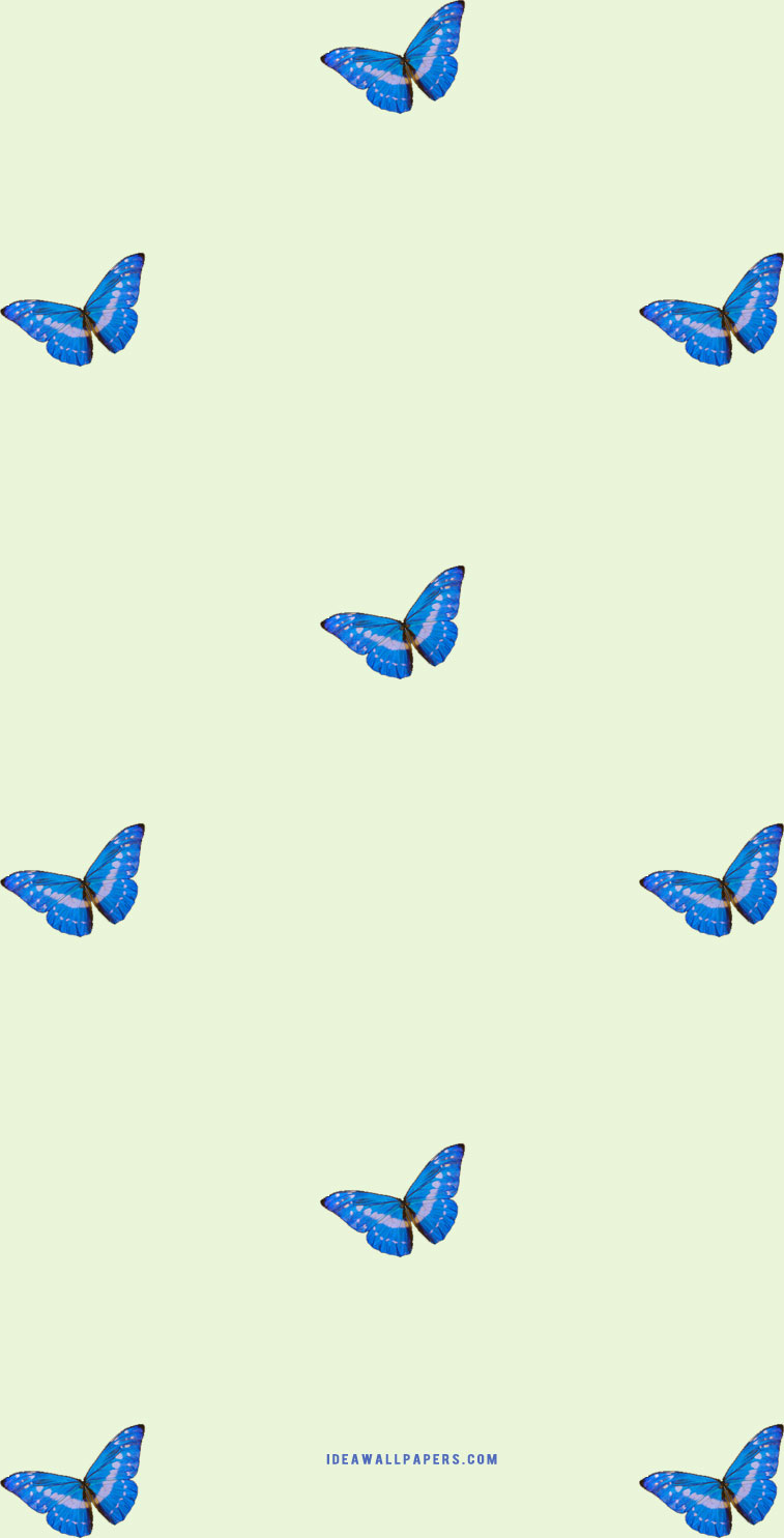 Blue Butterflies Aesthetic Wallpapers