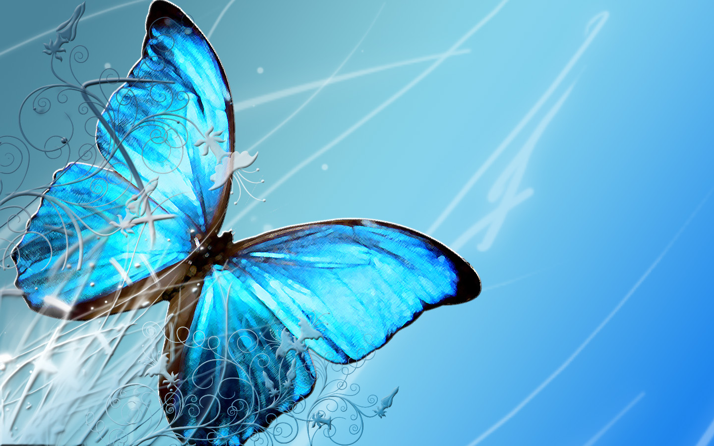 Blue Butterfly Wallpapers