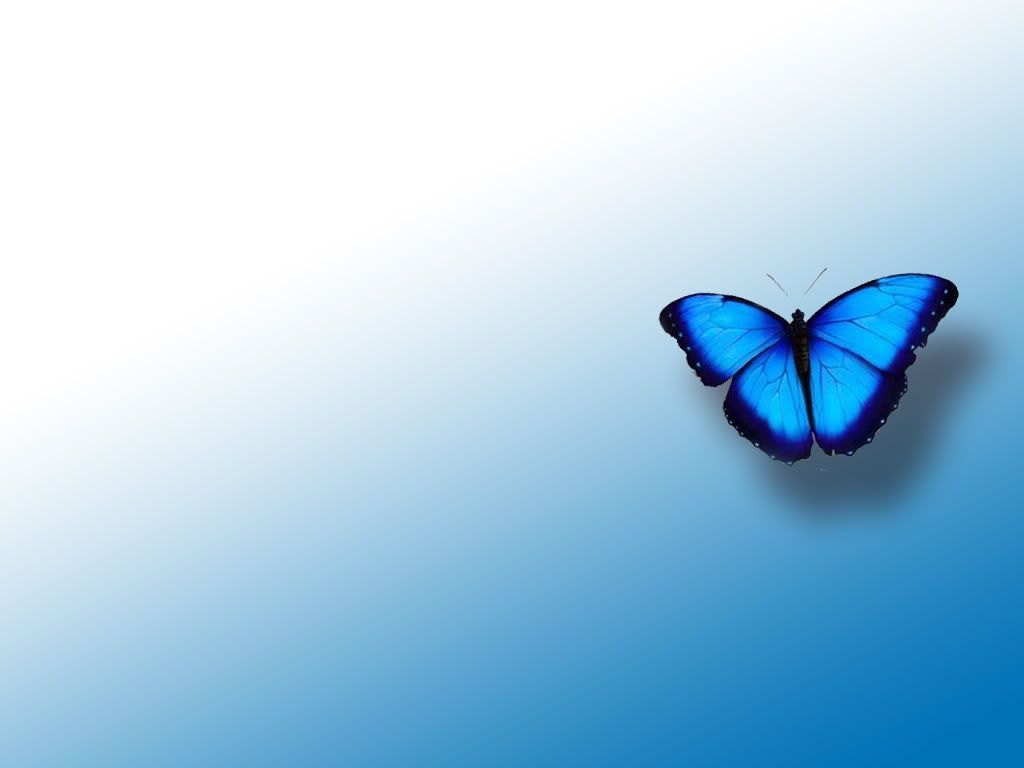 Blue Butterfly Wallpapers