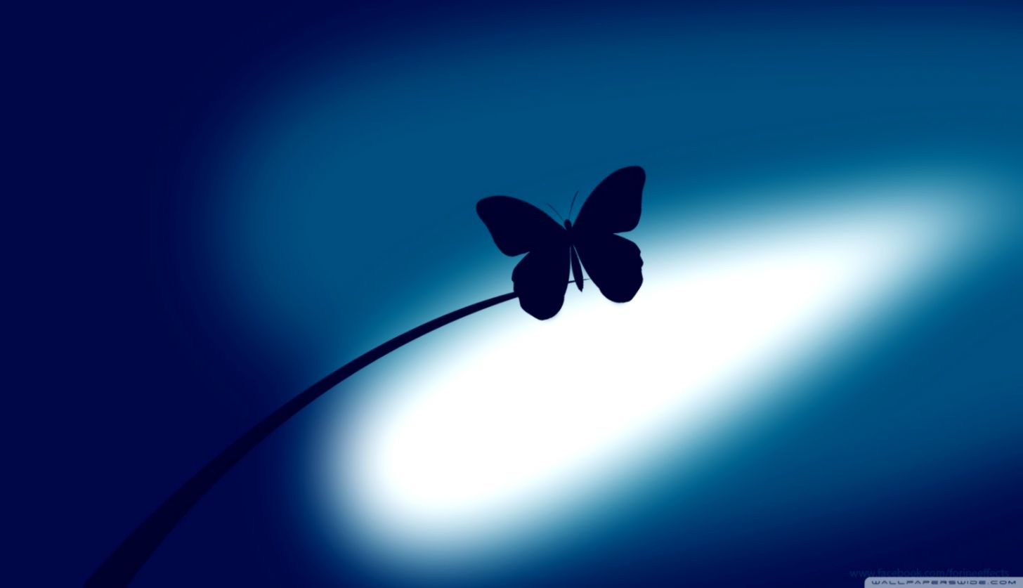 Blue Butterfly Wallpapers