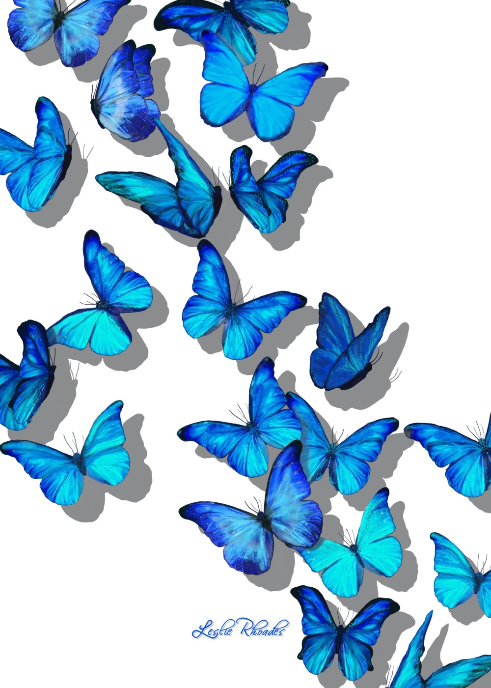 Blue Butterfly Wallpapers