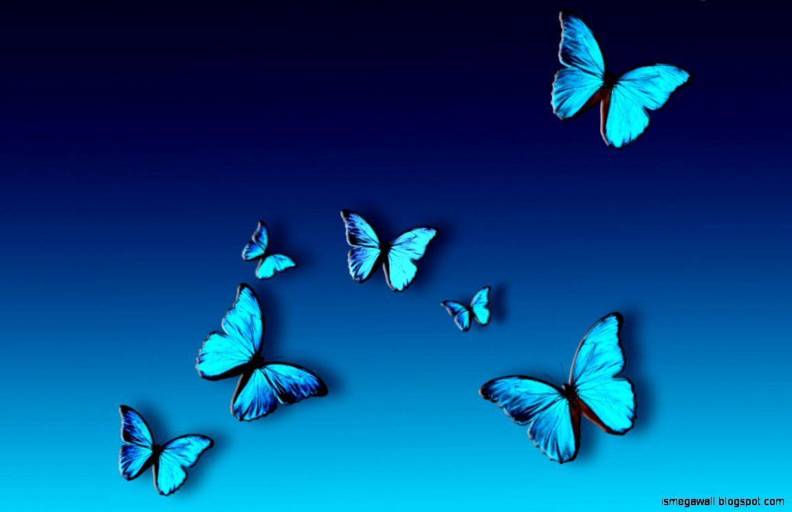 Blue Butterfly Wallpapers