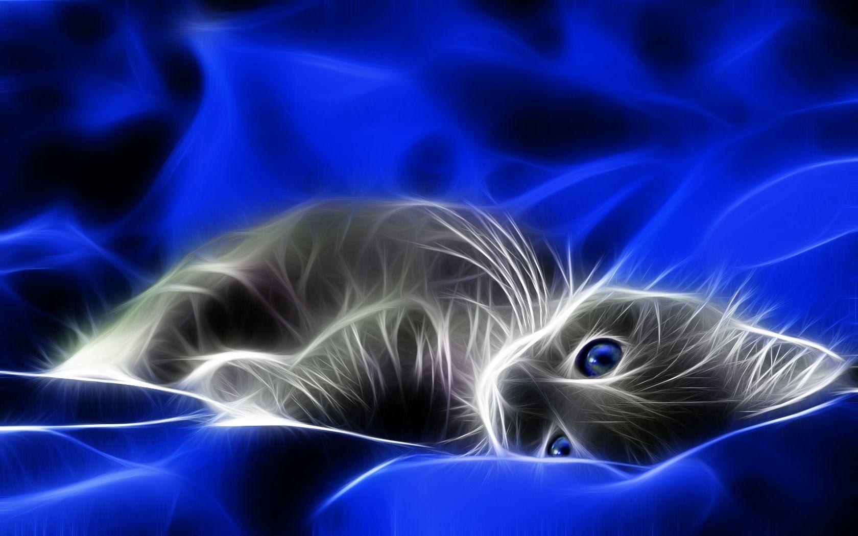 Blue Cat Wallpapers