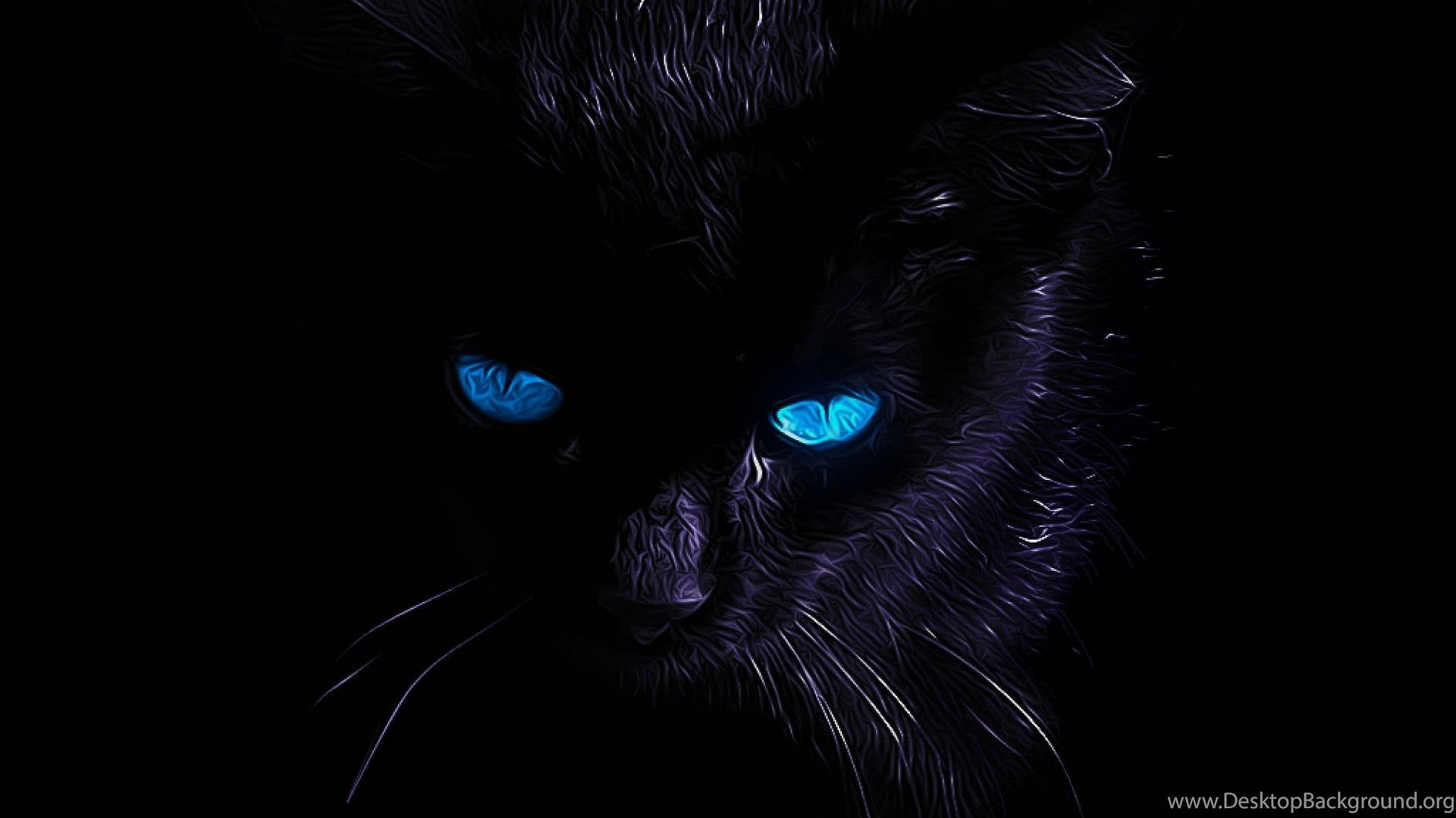 Blue Cat Wallpapers