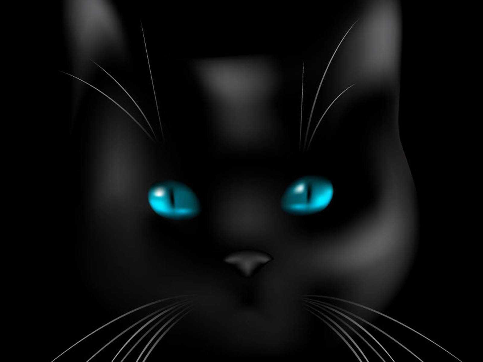 Blue Cat Wallpapers