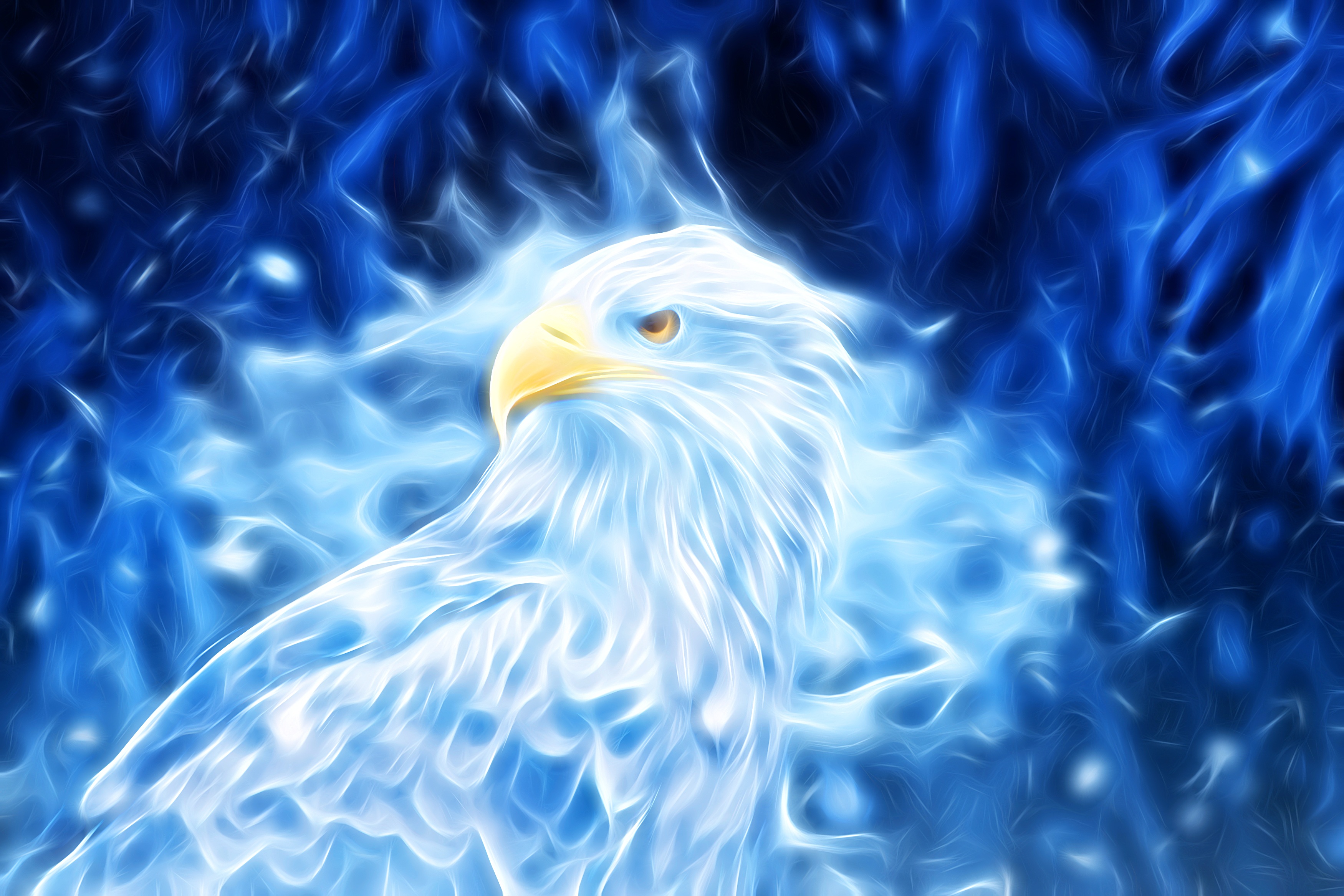 Blue Eagles Wallpapers