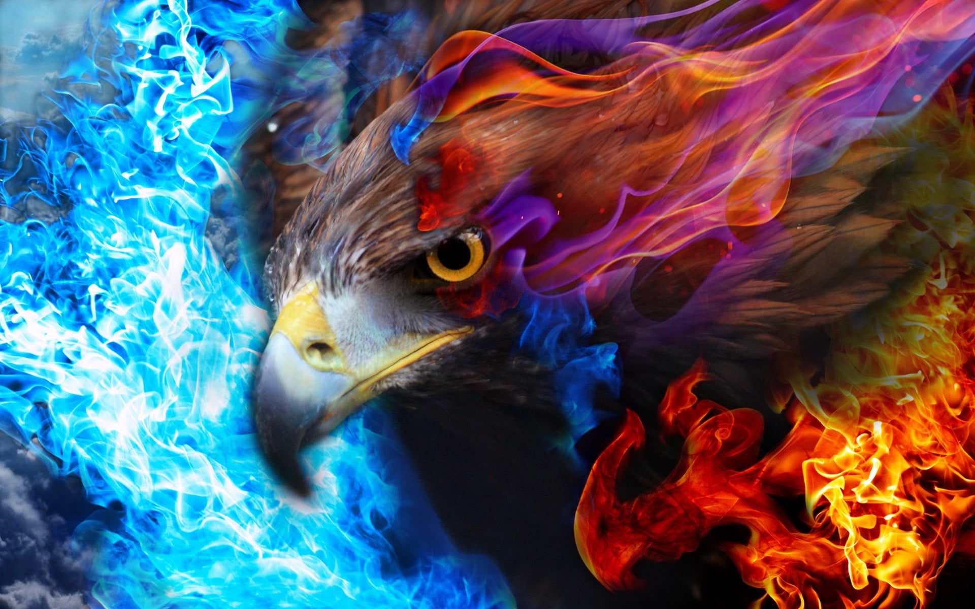 Blue Eagles Wallpapers