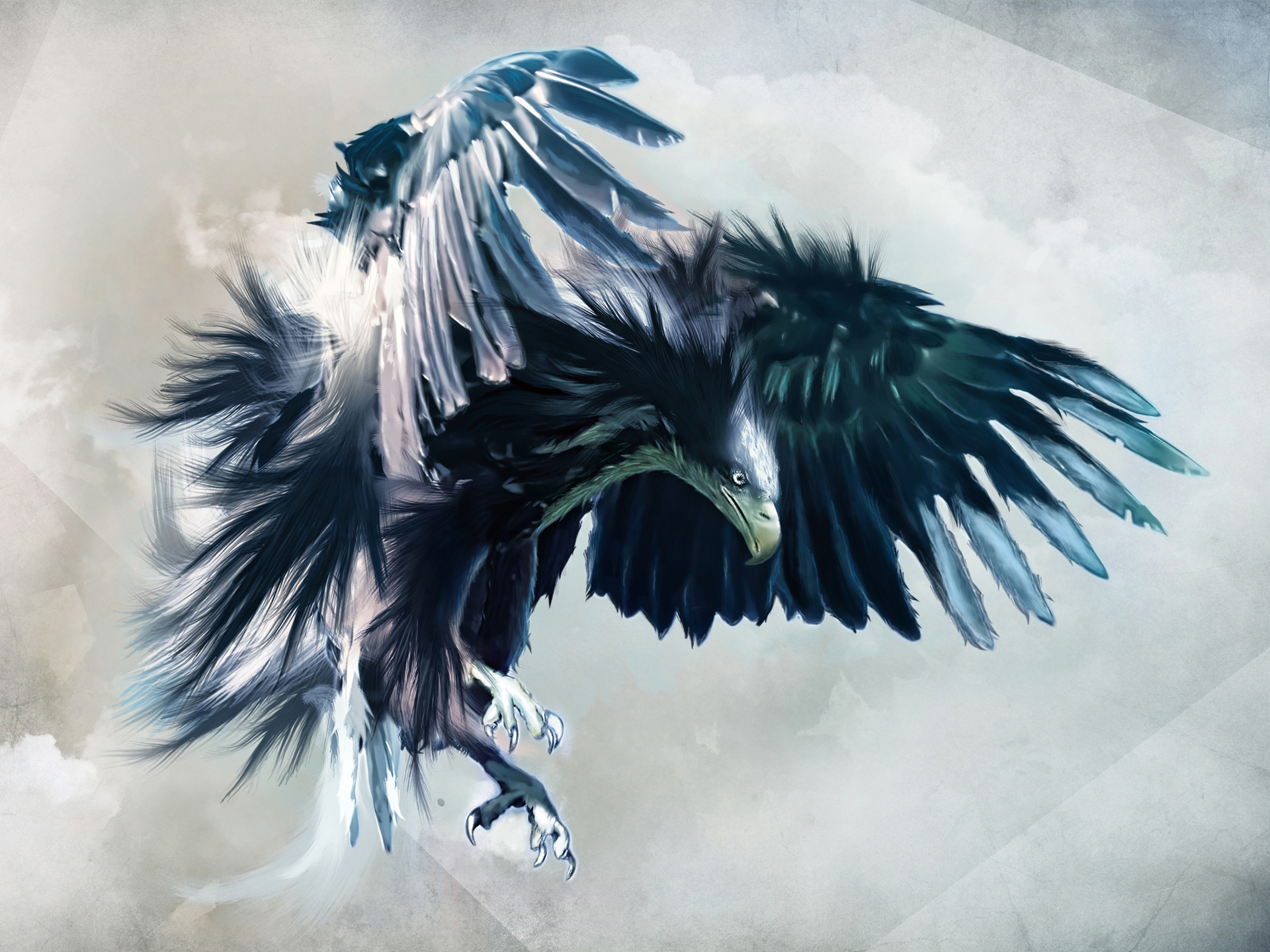 Blue Eagles Wallpapers