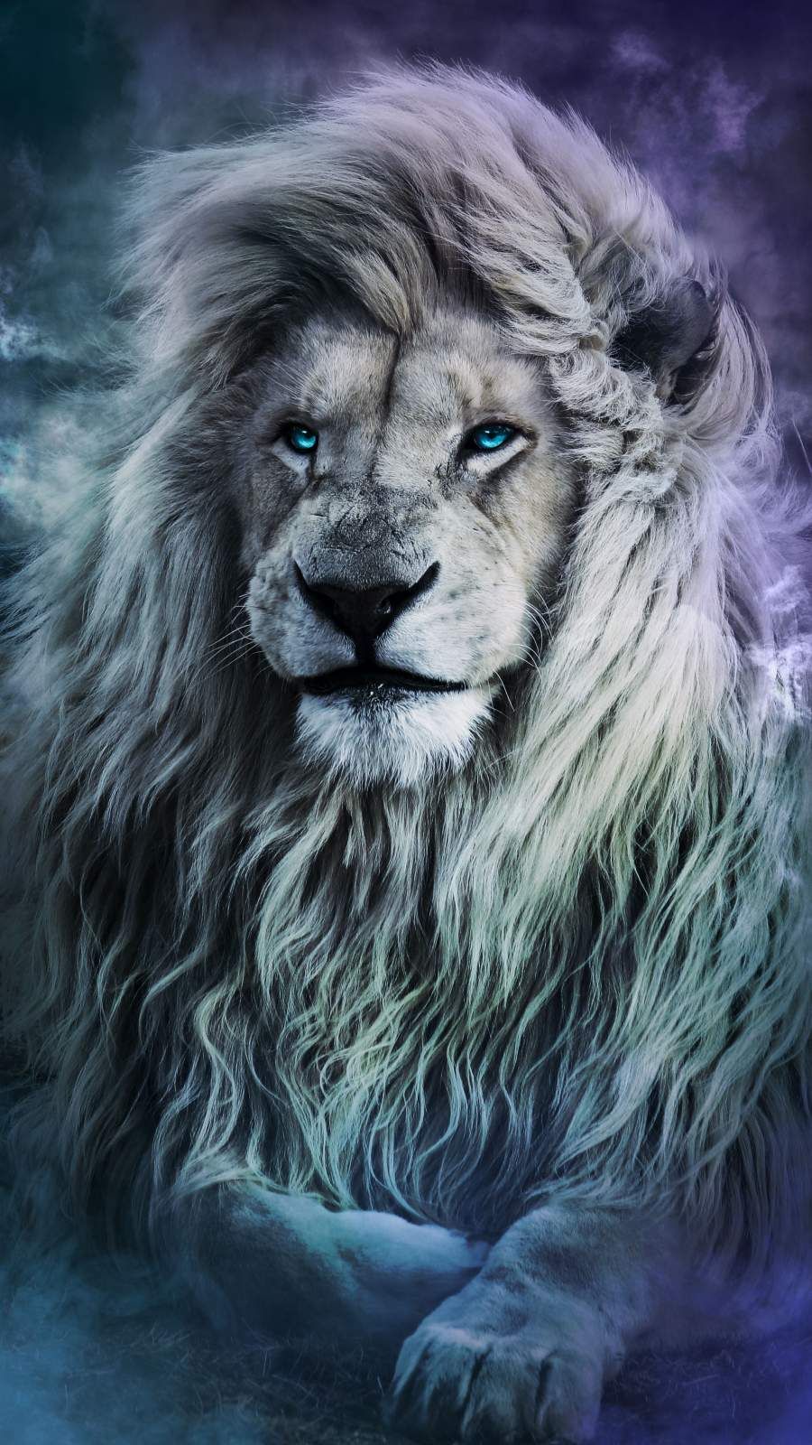 Blue Eye Lion Wallpapers