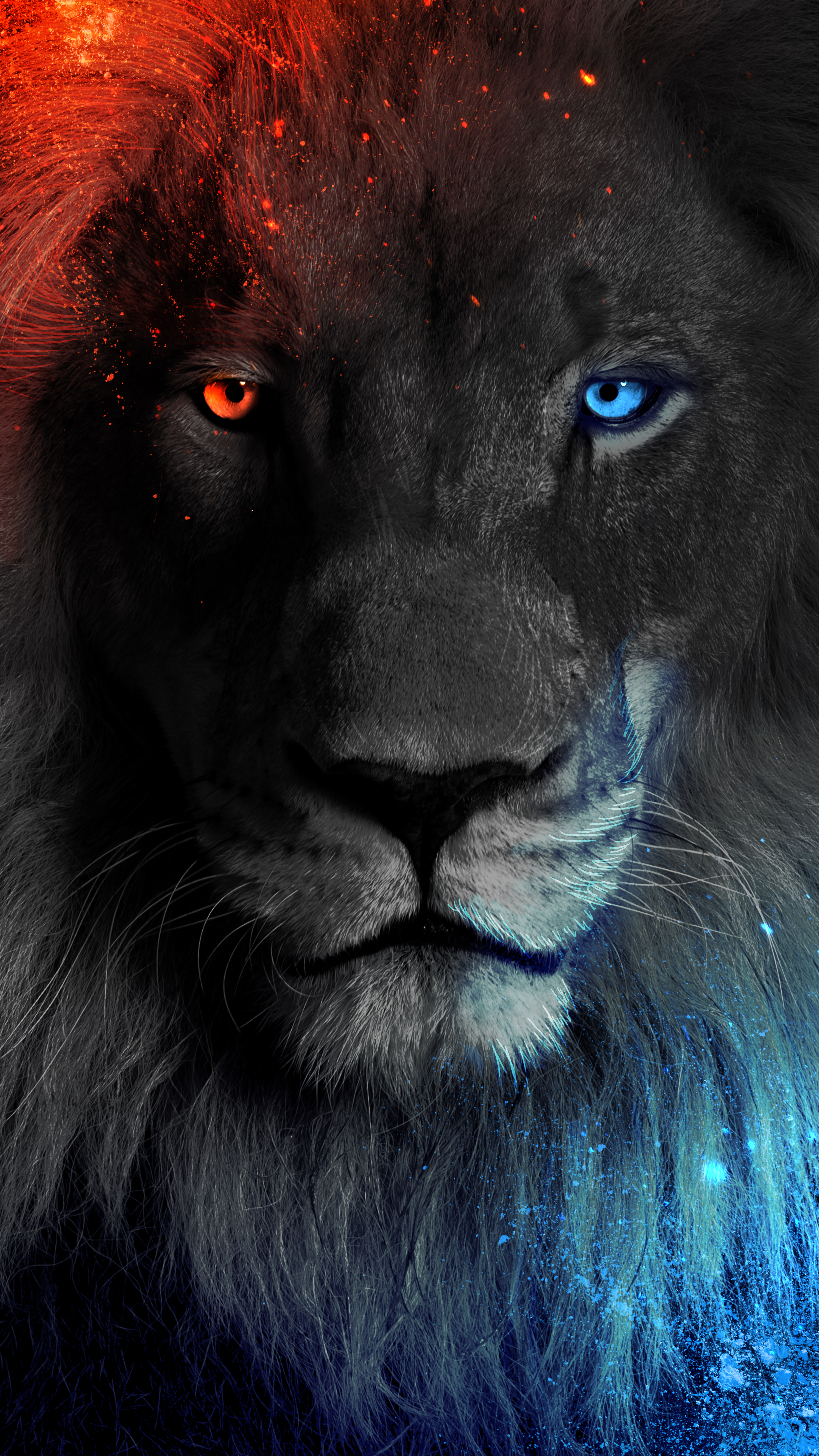 Blue Eye Lion Wallpapers