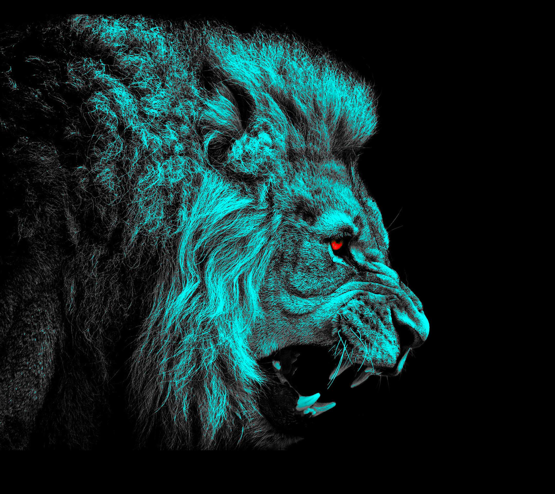 Blue Eye Lion Wallpapers