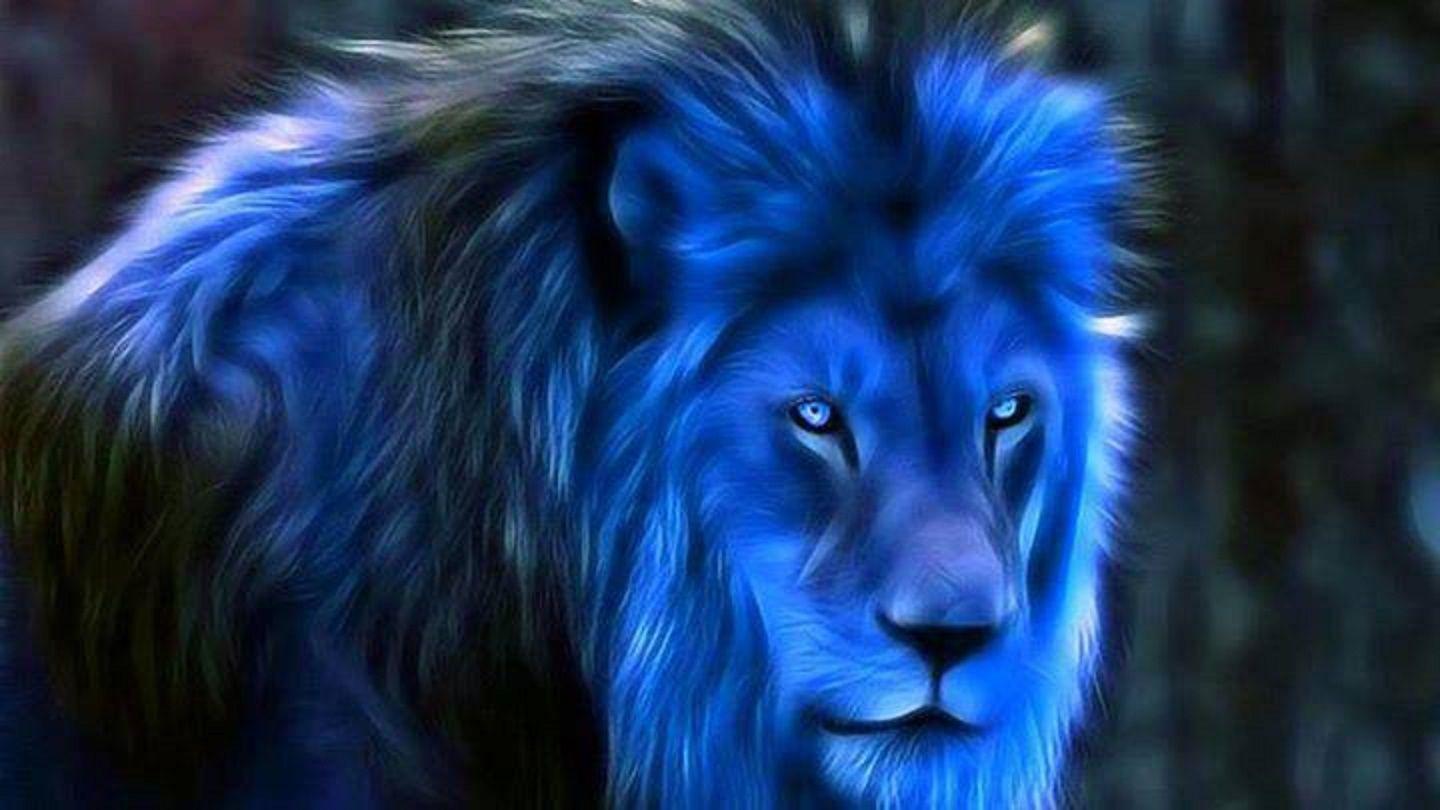 Blue Eye Lion Wallpapers