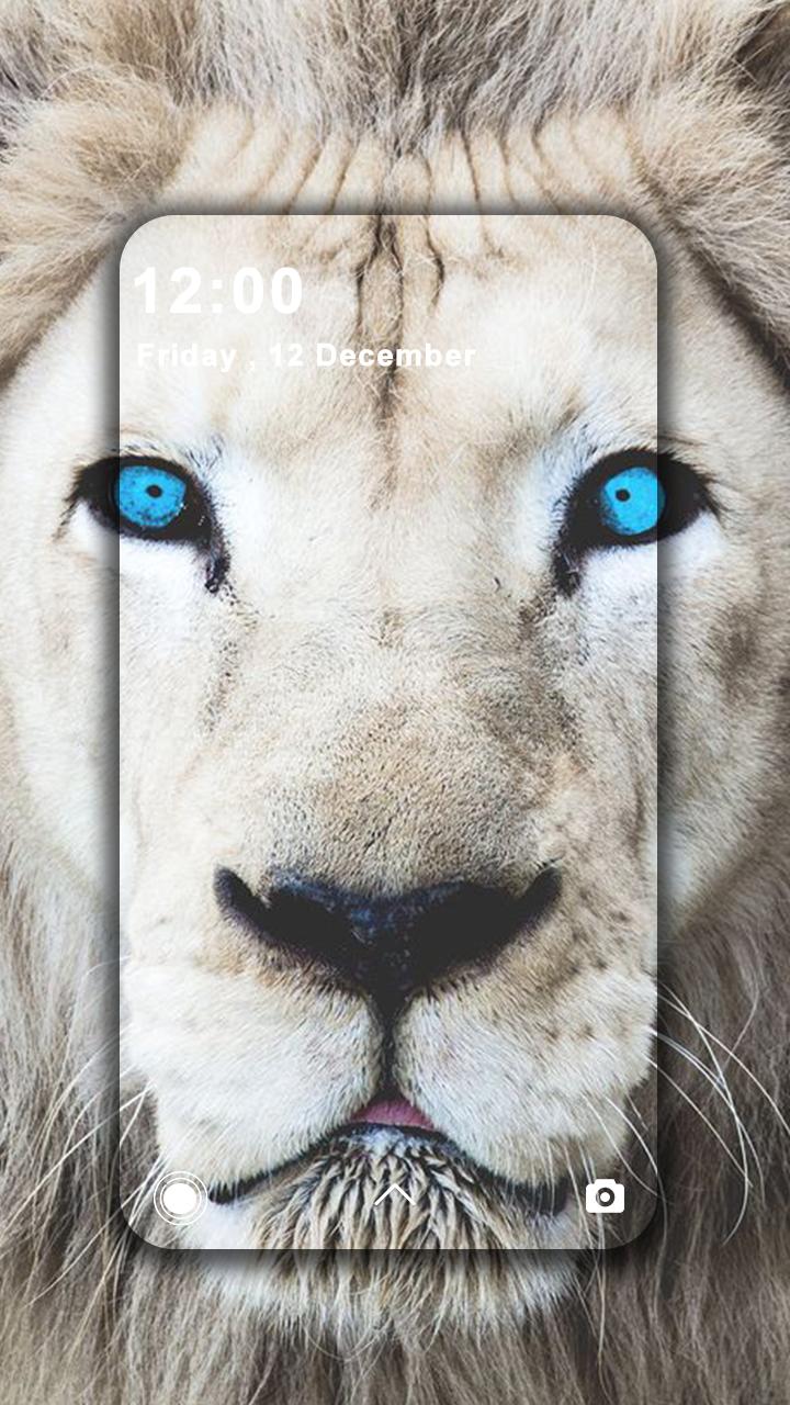 Blue Eye Lion Wallpapers