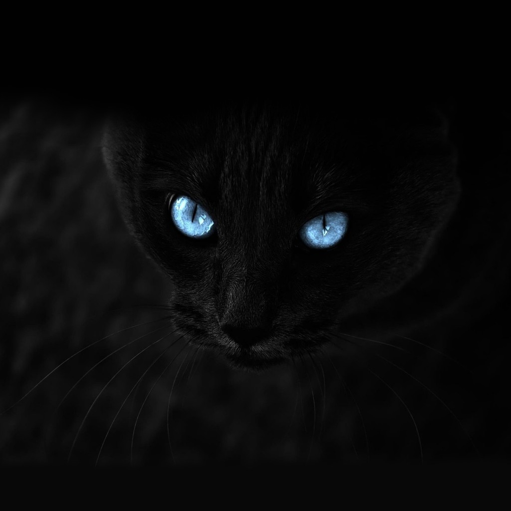 Blue Eye Wallpapers