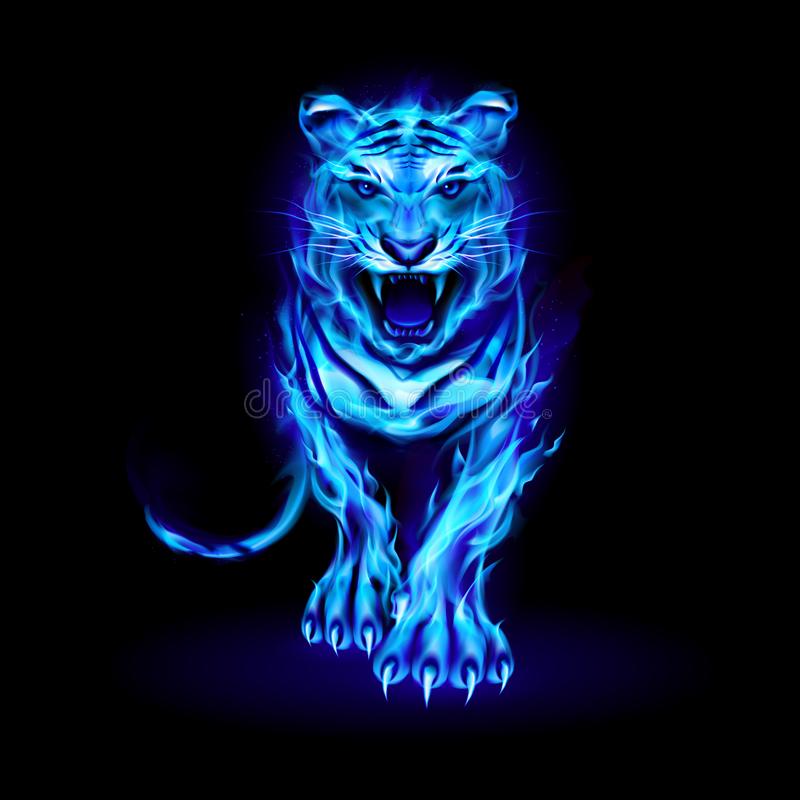 Blue Fire Tiger Wallpapers