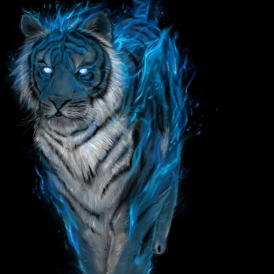 Blue Fire Tiger Wallpapers