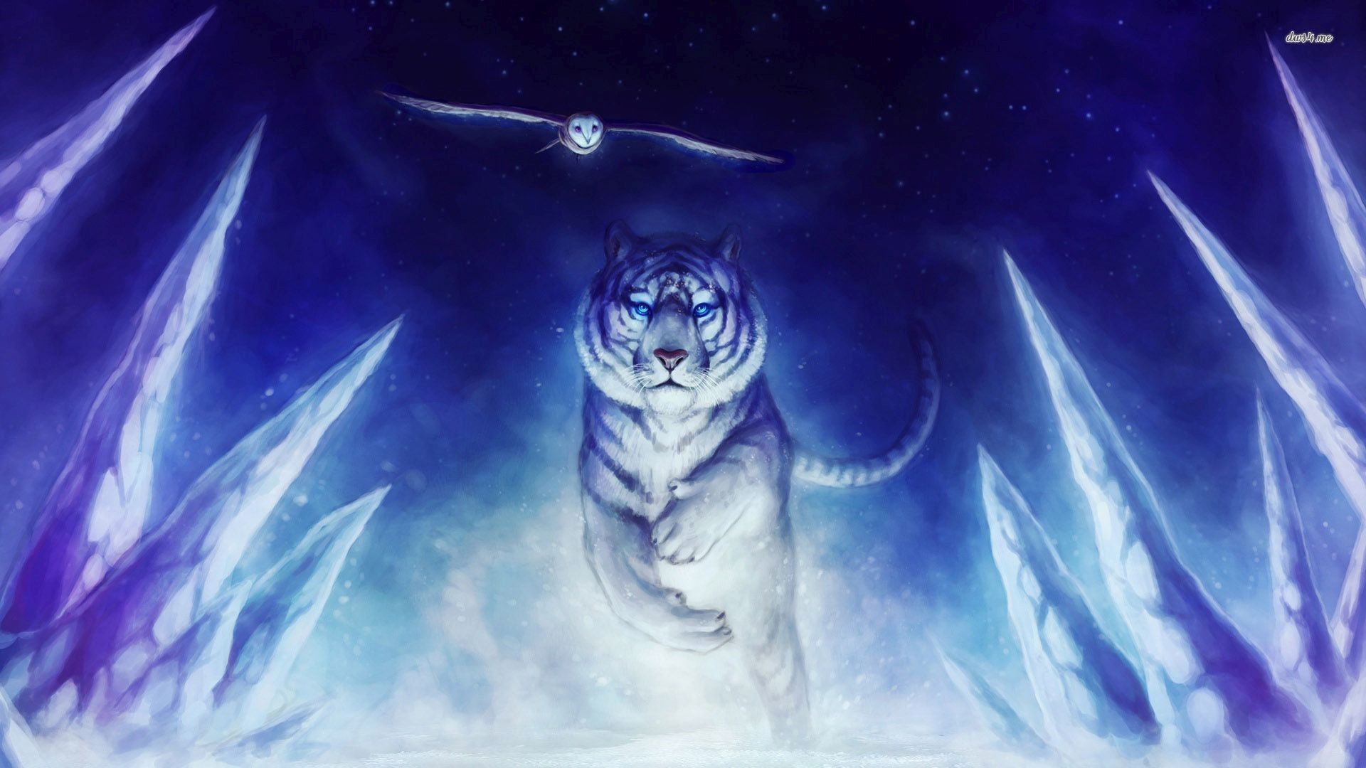 Blue Fire Tiger Wallpapers