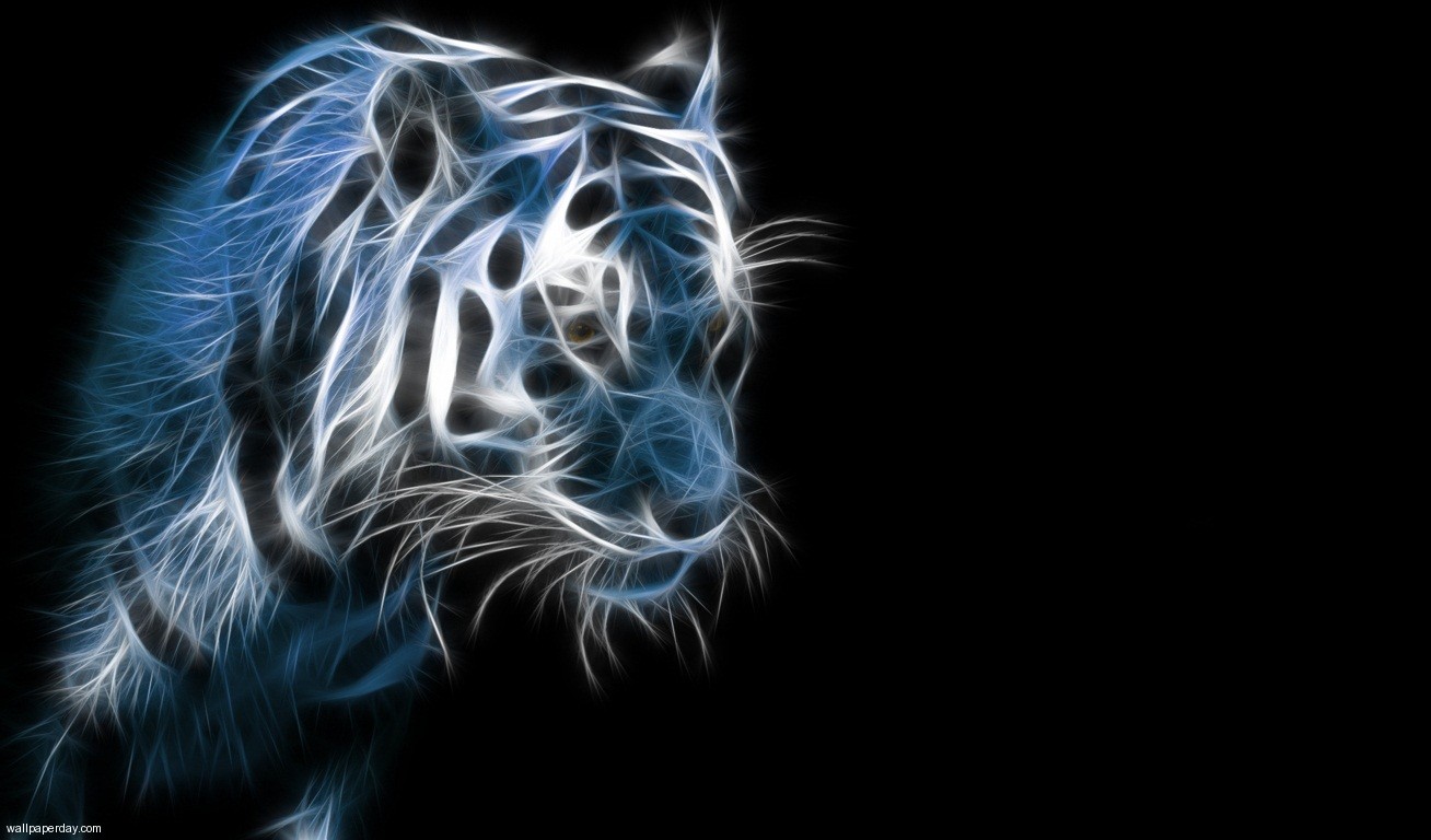 Blue Fire Tiger Wallpapers