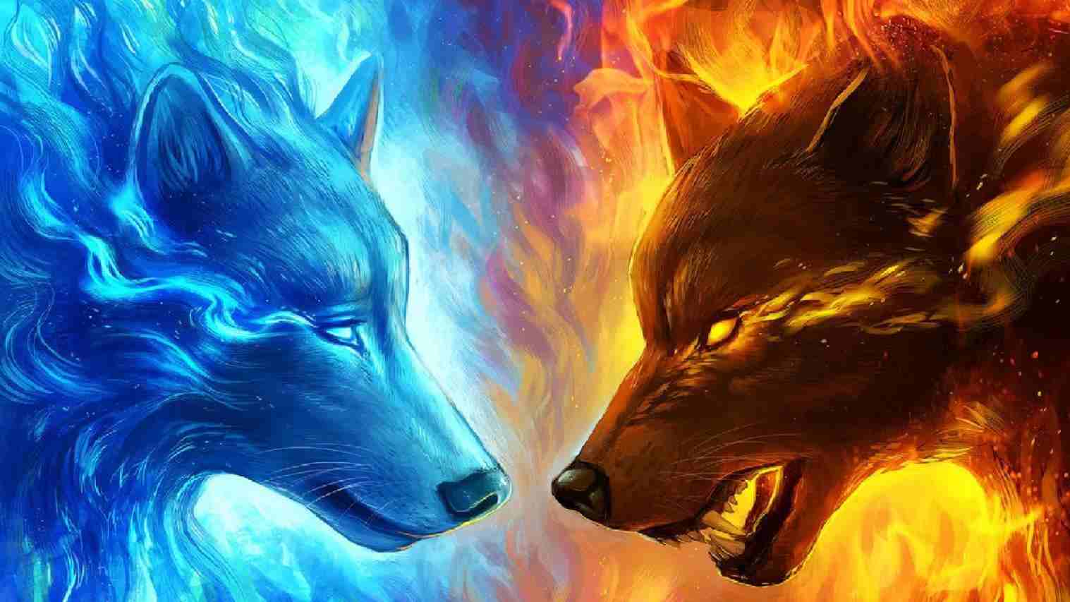 Blue Fire Wolf Wallpapers