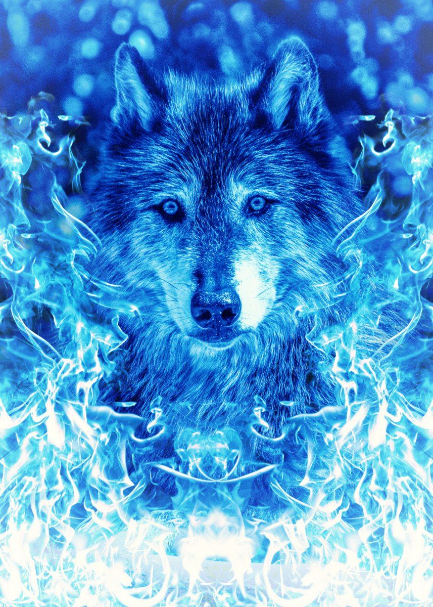 Blue Fire Wolf Wallpapers