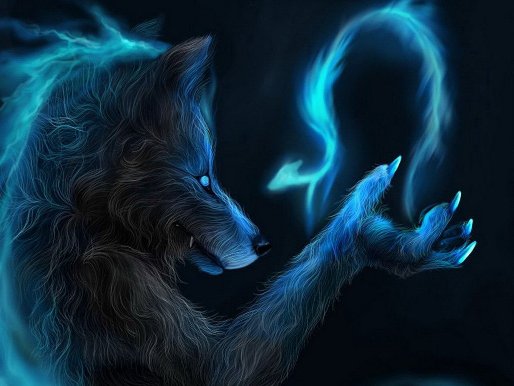 Blue Fire Wolf Wallpapers