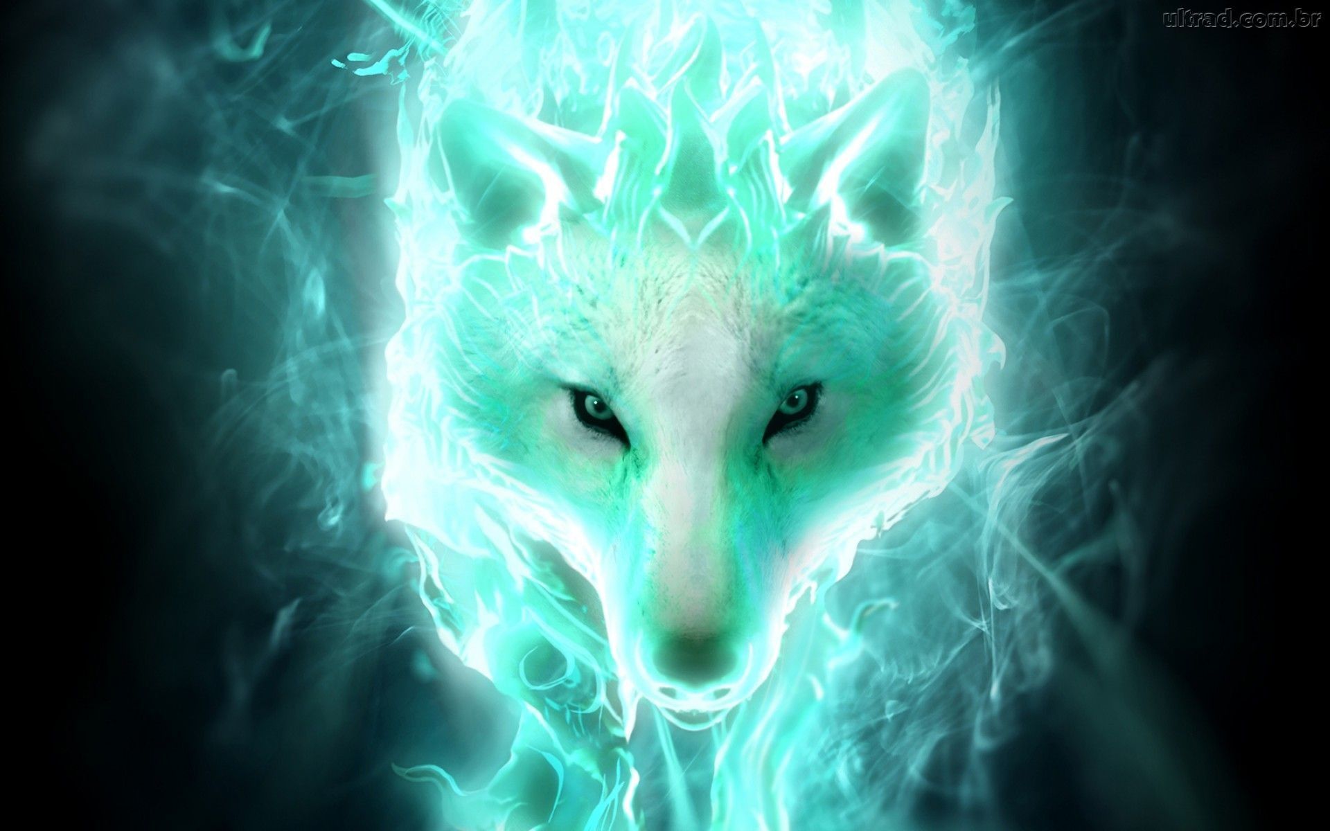 Blue Fire Wolf Wallpapers