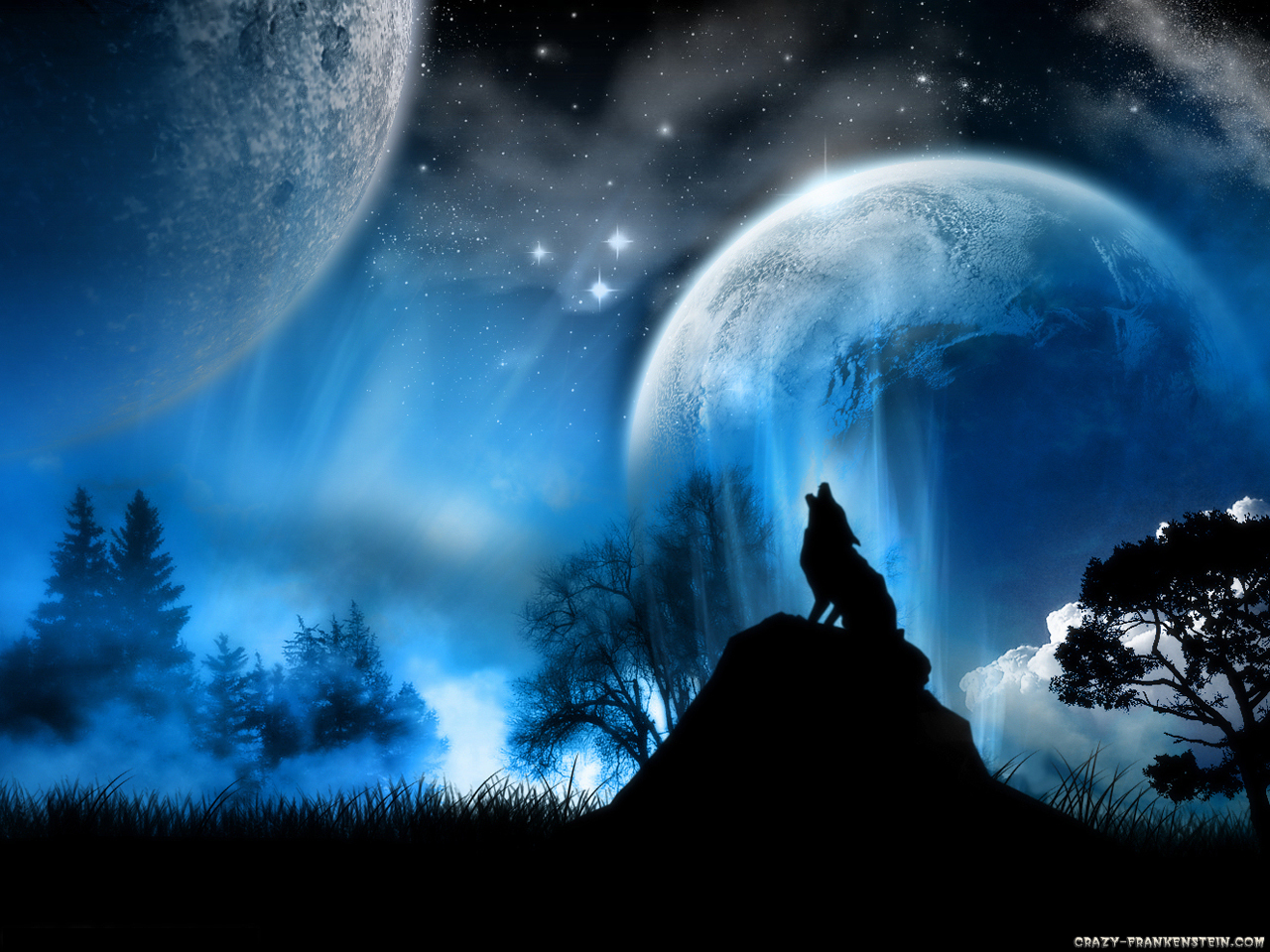 Blue Fire Wolf Wallpapers