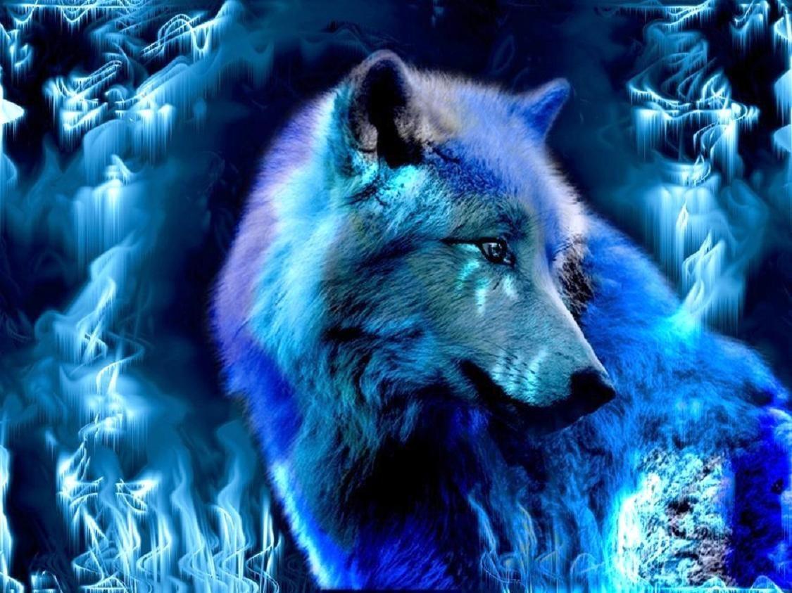 Blue Fire Wolf Wallpapers