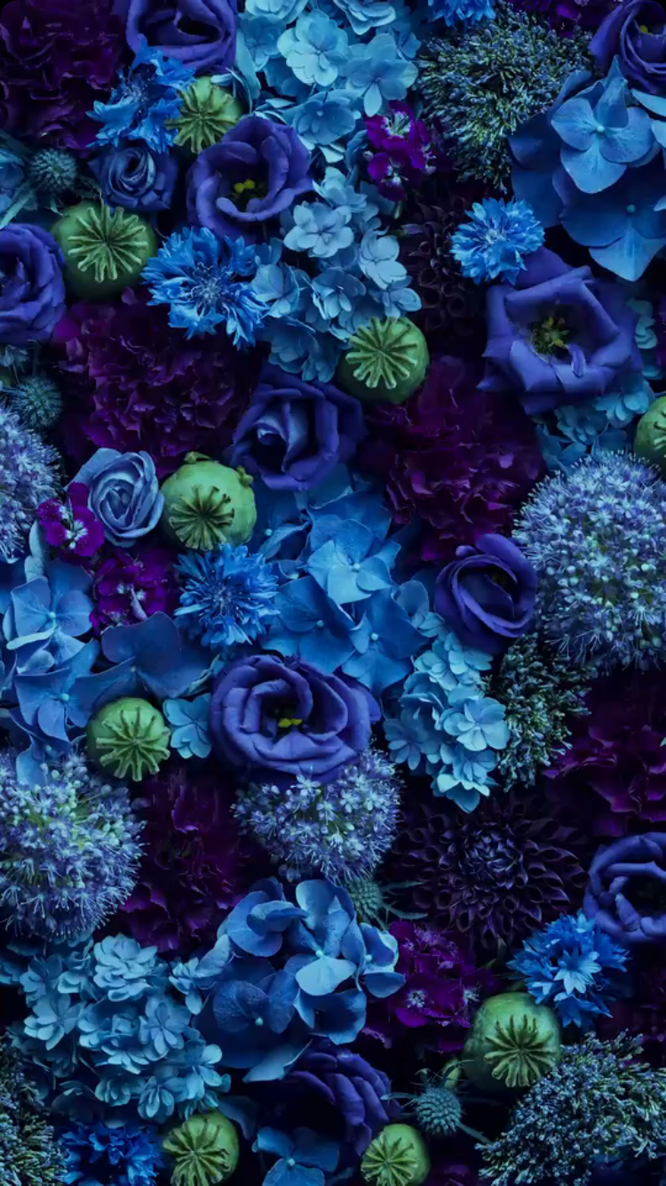 Blue Flowers Aesthetic Wallpapers