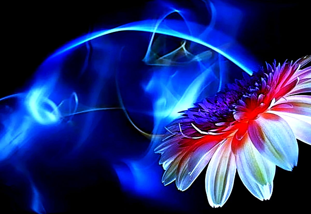 Blue Fractal Flower Wallpapers