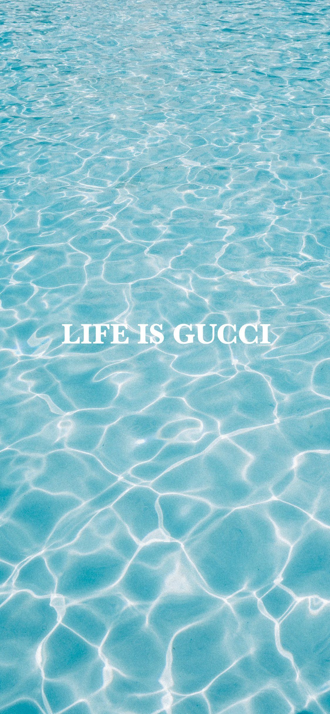 Blue Gucci Logo Wallpapers