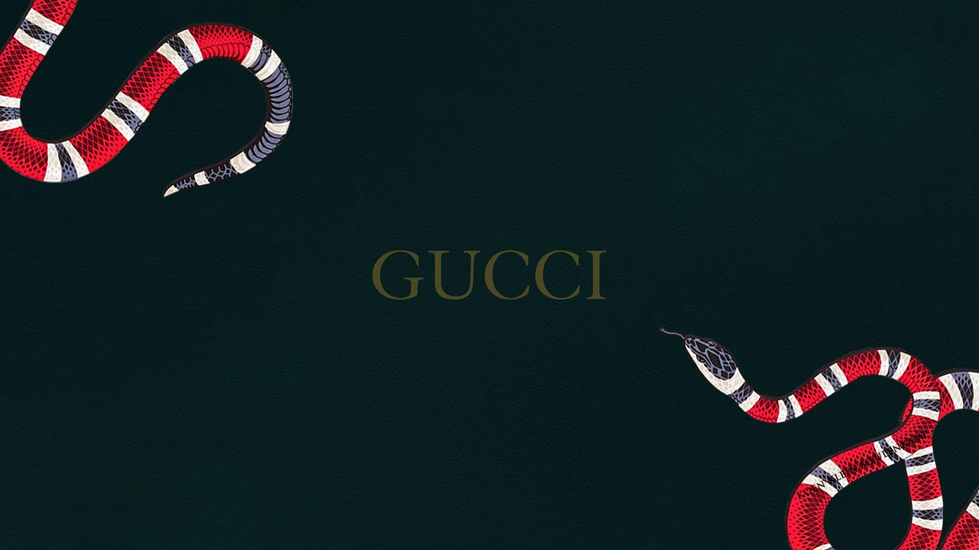 Blue Gucci Wallpapers
