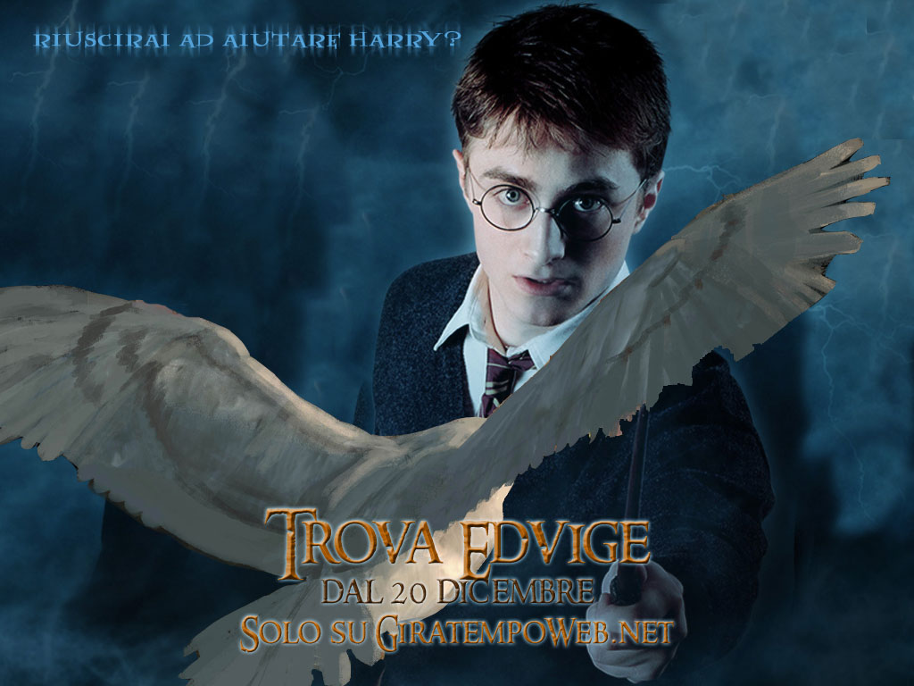 Blue Harry Potter Wallpapers