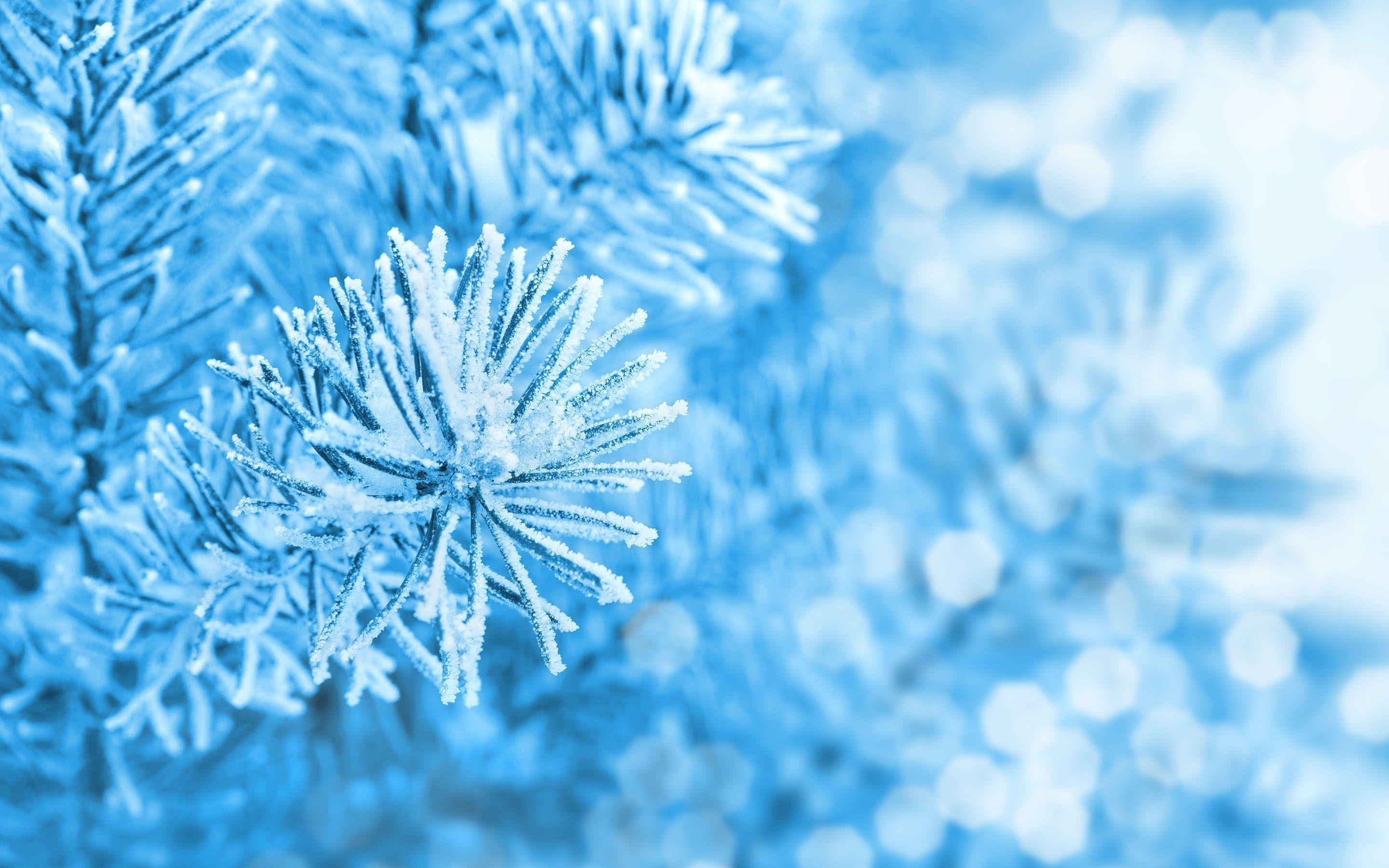 Blue Ice Wallpapers