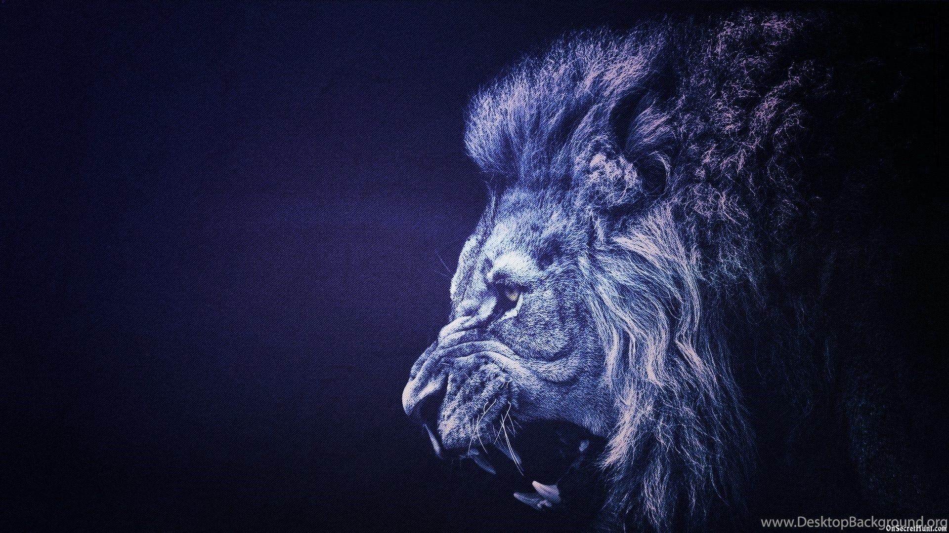 Blue Lion Wallpapers