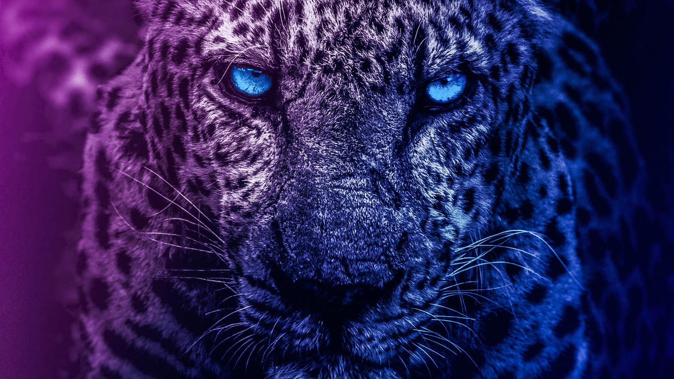 Blue Lion Wallpapers