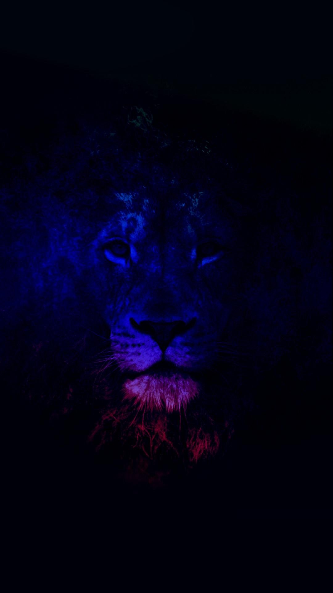 Blue Lion Wallpapers