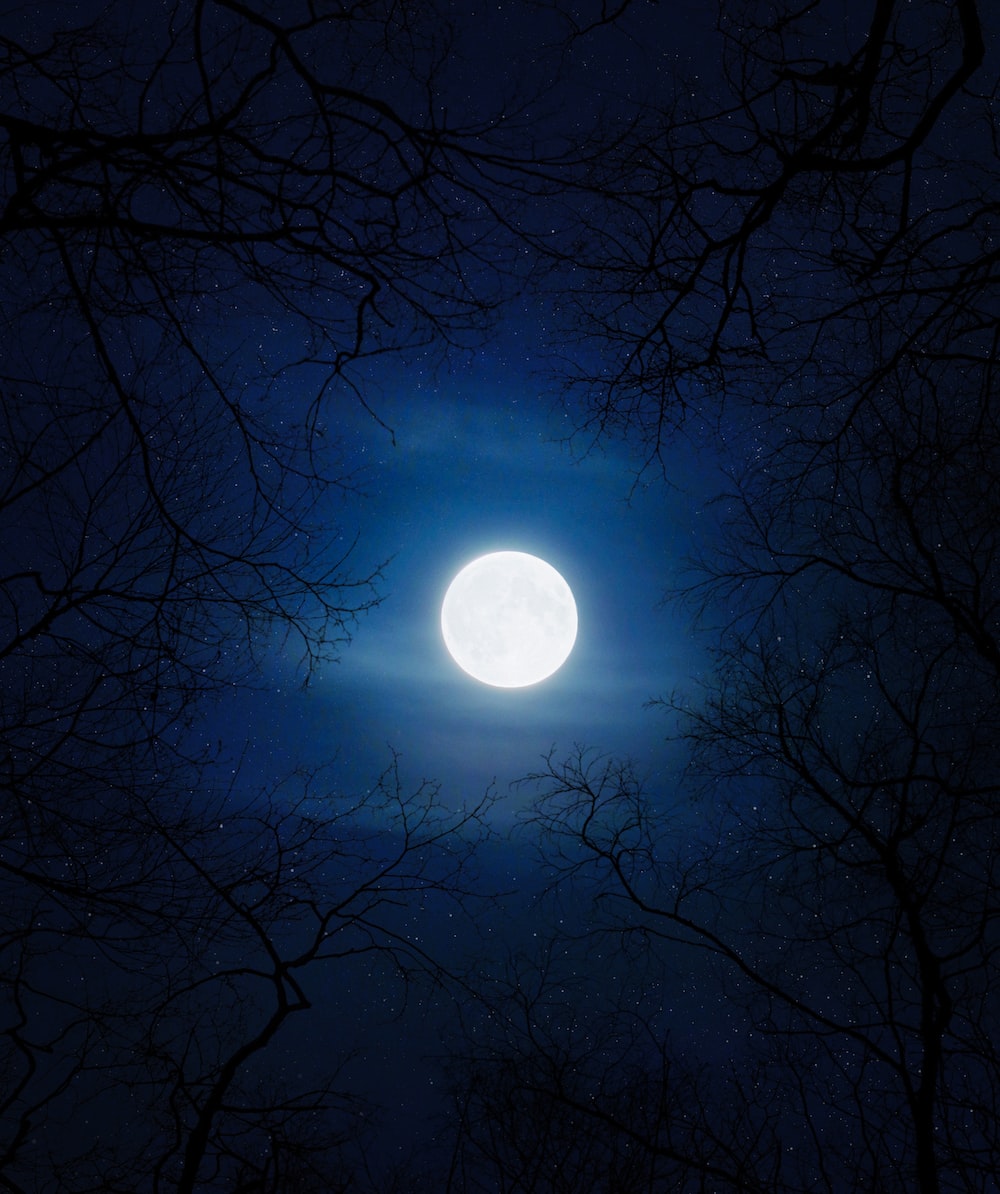 Blue Moon Wallpapers