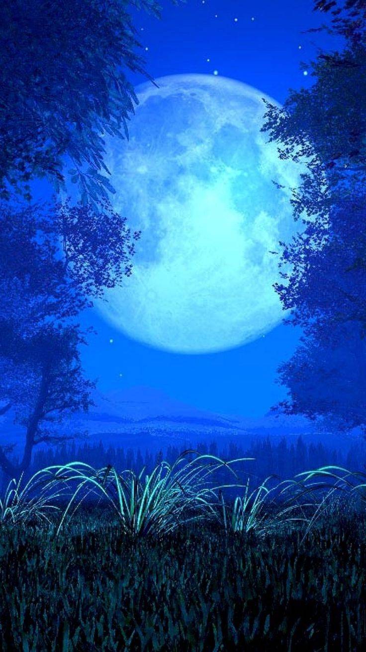 Blue Moon Wallpapers