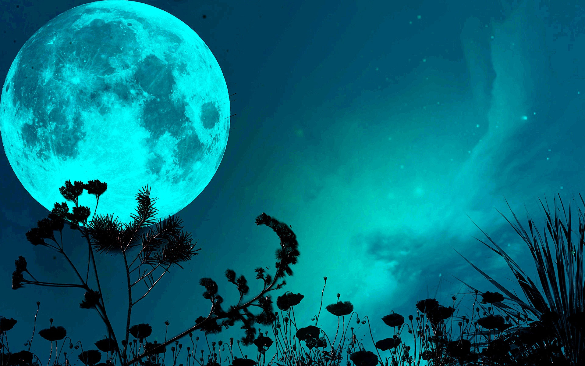 Blue Moon Wallpapers