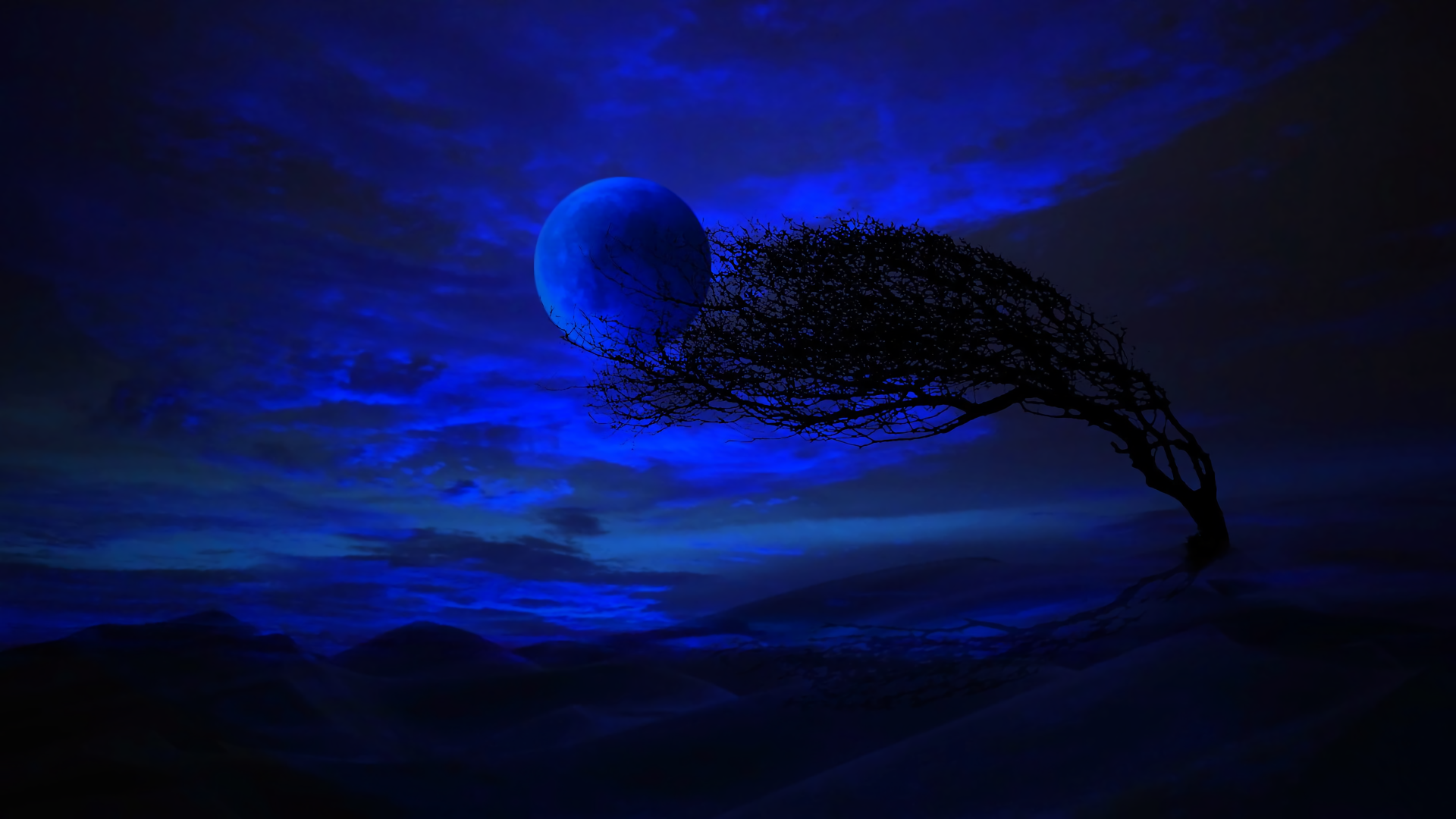 Blue Moon Wallpapers