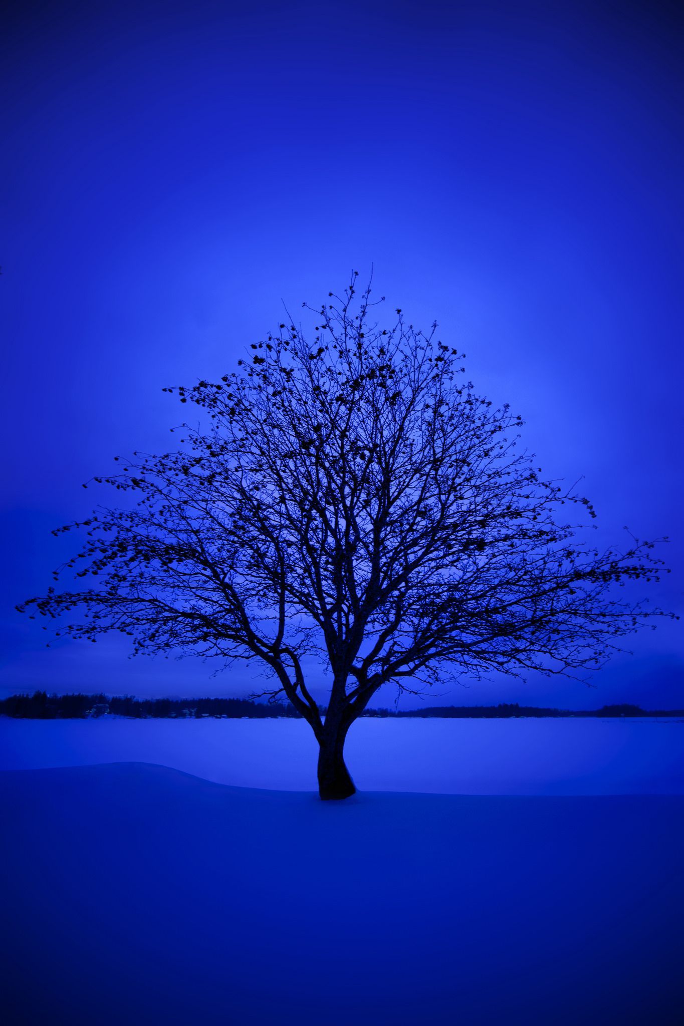 Blue Nature Wallpapers