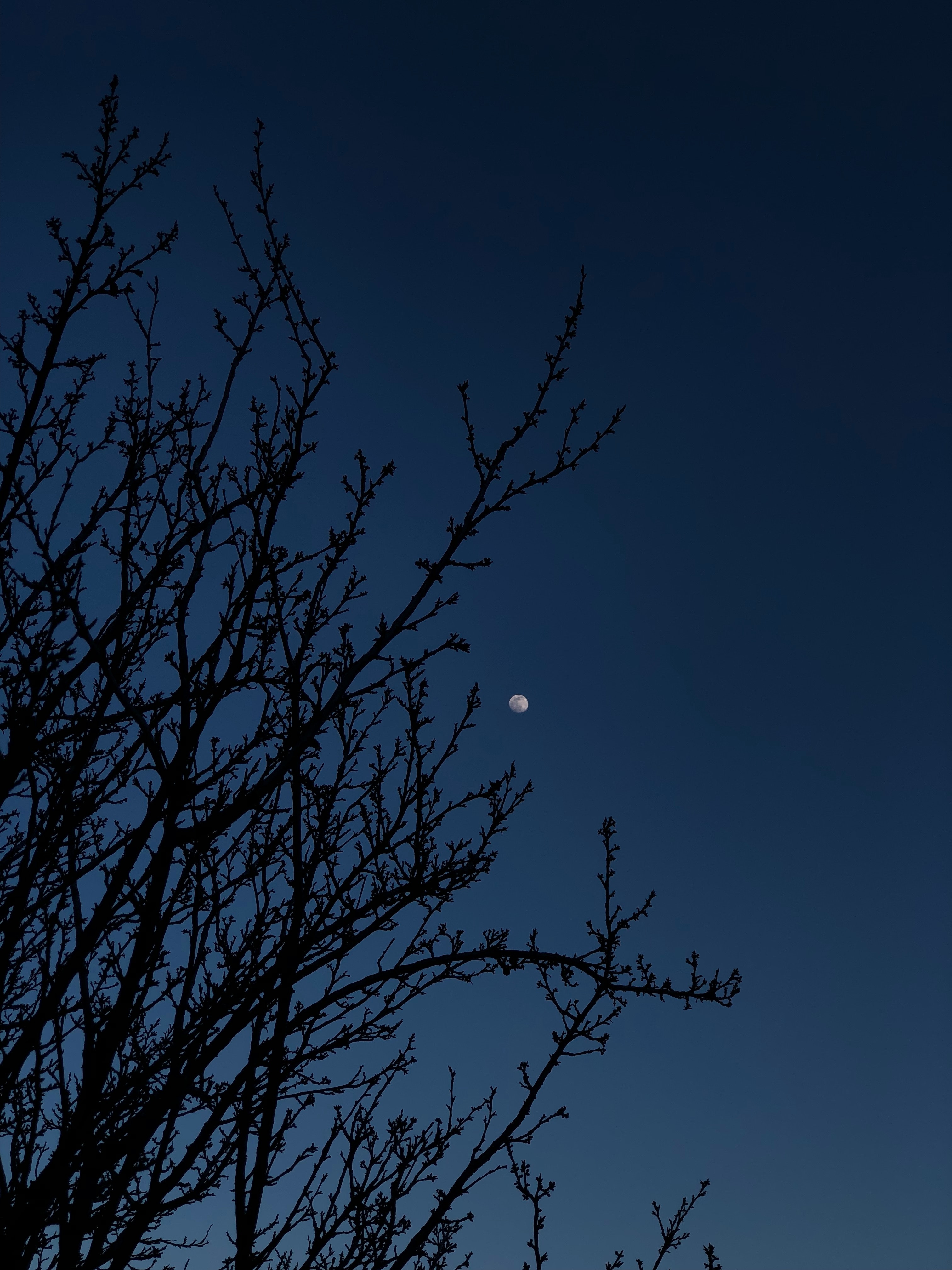 Blue Night Sky Wallpapers