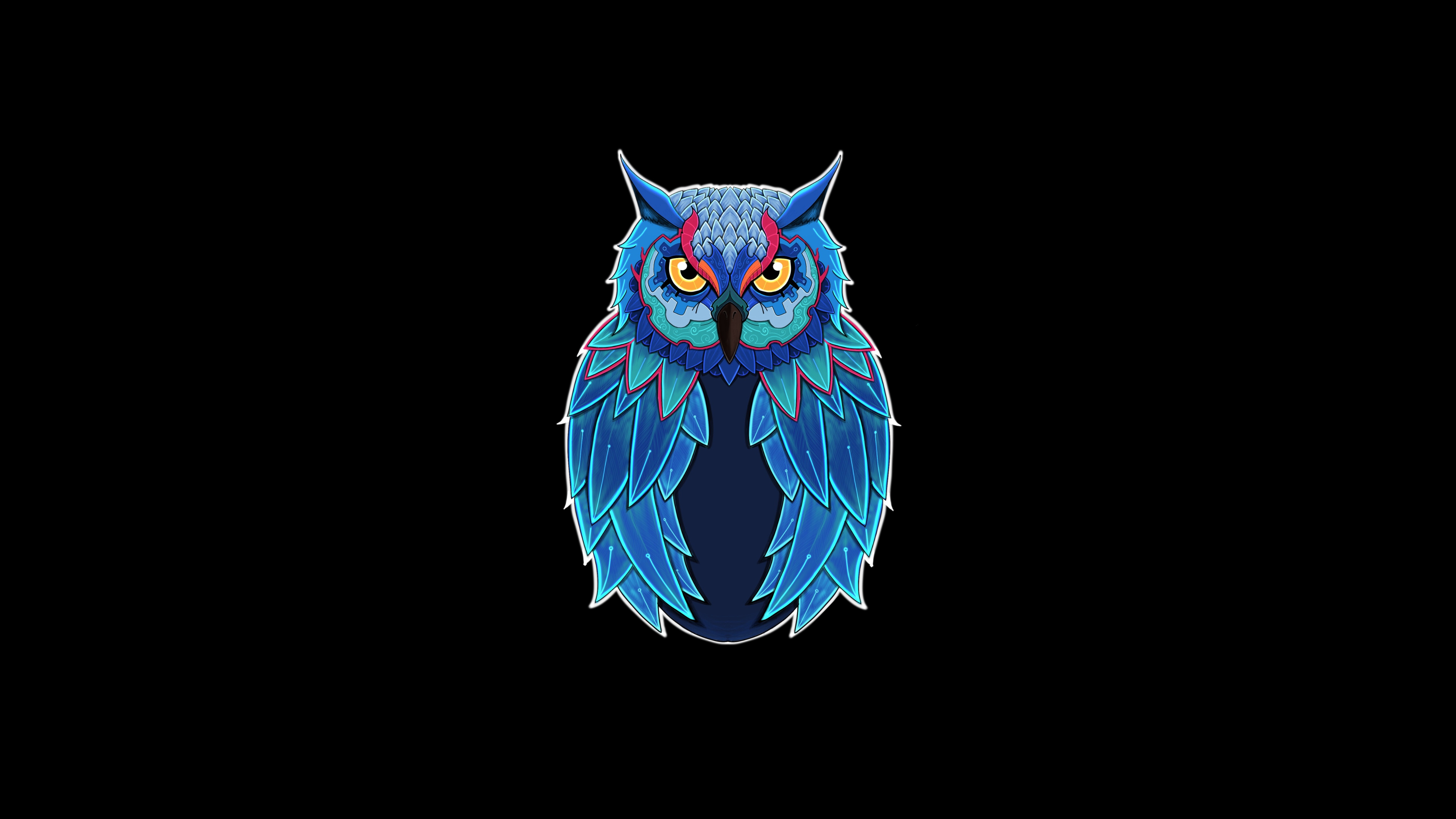 Blue Owl Wallpapers