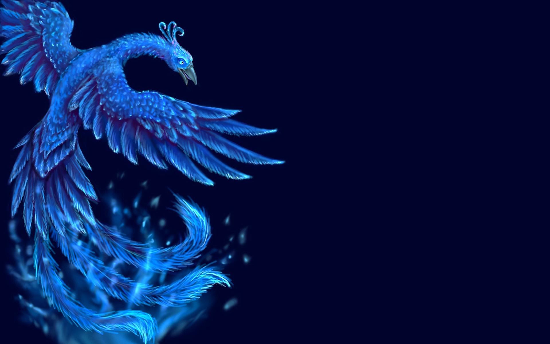 Blue Phoenix Wallpapers