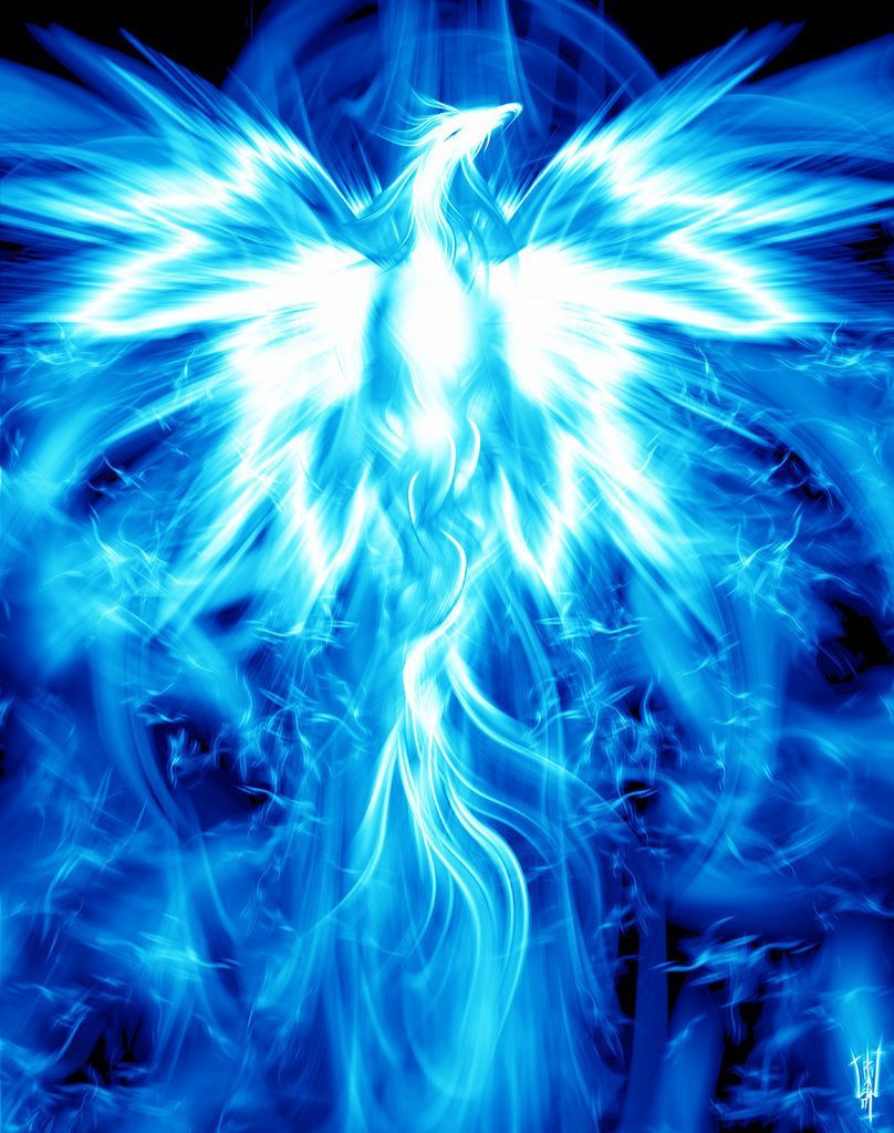 Blue Phoenix Wallpapers